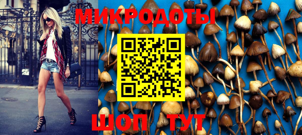 Галлюциногенные грибы ЛСД  Вход с VPN  Галлюциногенные грибы Magic Shrooms  Заволжье 
