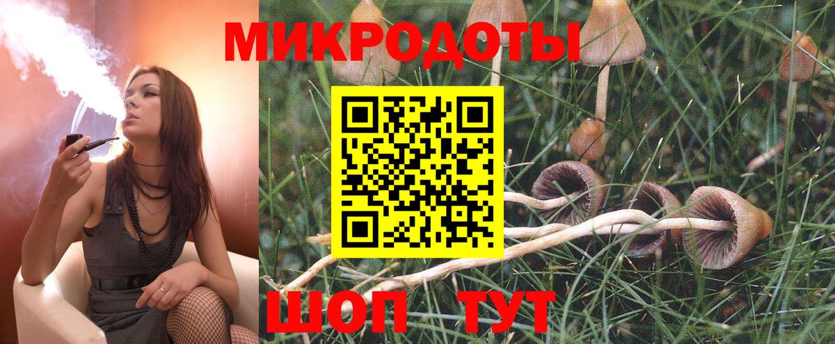 Псилоцибиновые грибы ЛСД Заволжье